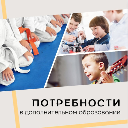 Потребность в дополнительном образовании в г. Кирове Потребность в дополнительном образовании в г. Кирове.